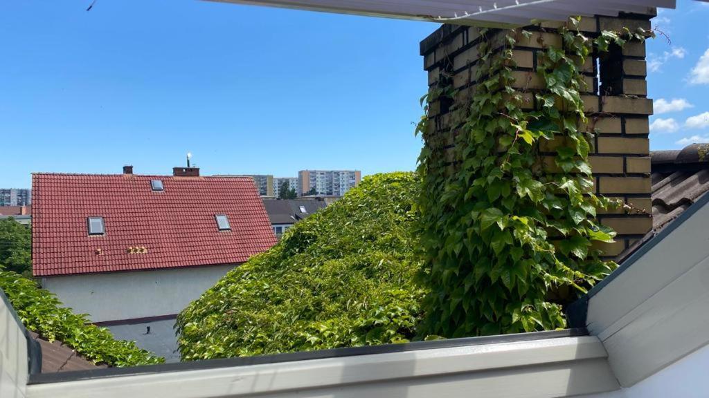 Apartamenty Forest&Sea Świnoujście  Værelse billede