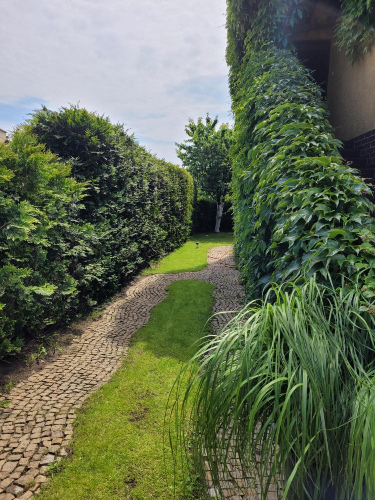 Apartamenty Forest&Sea Świnoujście  Værelse billede